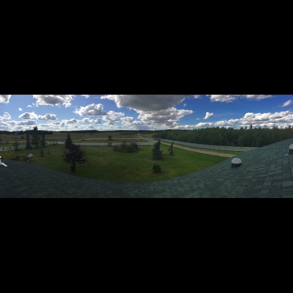 Meet your Posher, Sara - Picture 1 of 1